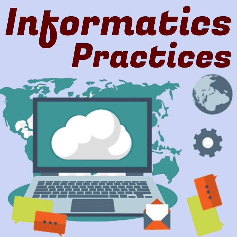 Informatics Practices Icon